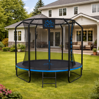 Батут FitToSky 252см Black Premium з сіткою та драбинкою 48 пружин