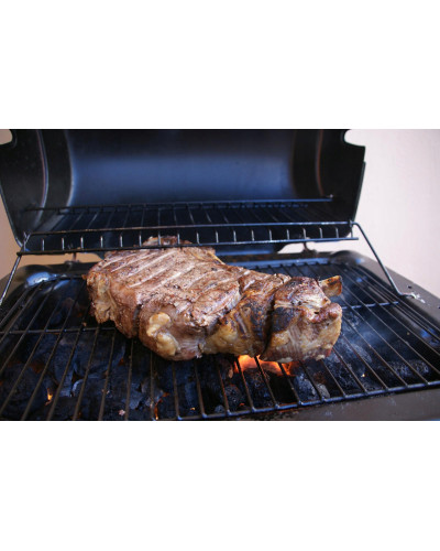 Гриль GardenLine BBQ5337