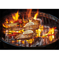 Гриль GardenLine BBQ5313