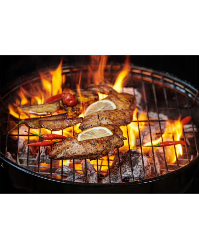 Гриль GardenLine BBQ5313